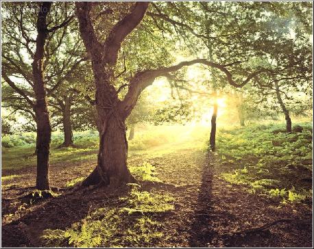 Where Paths Meet