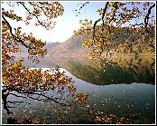 Lakeland Reflection