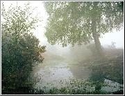 A River whose Streams