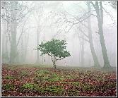 All Alone