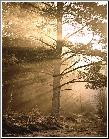 Warm Colors - Blaze of Light