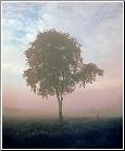 Warm Colors - Birth of a Day