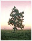 Dawn Exhortation