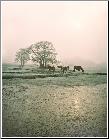Warm Colors - Tranquil Community