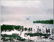 Swan Lake