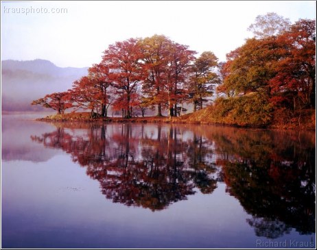 Autumn Reflection