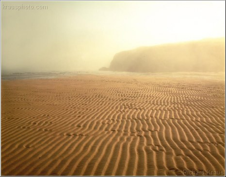 Rippled Sands 3