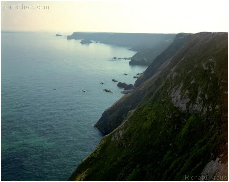 Sea Cliffs