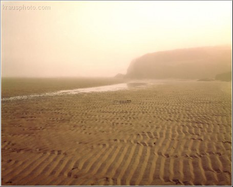 Rippled Sands 4