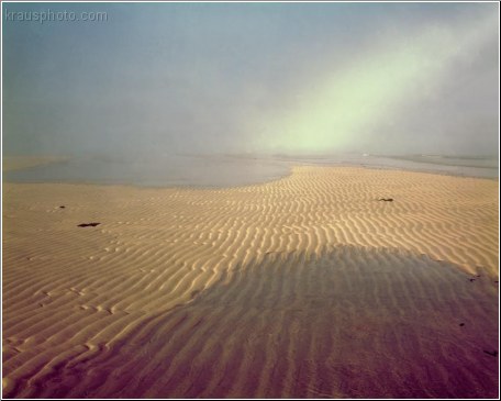 Rippled Sands 1