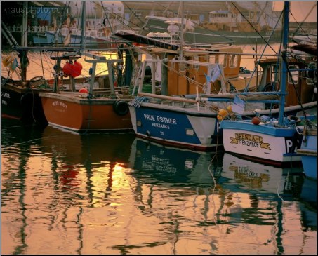 Penzance Trawlers