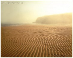 Rippled Sands 3