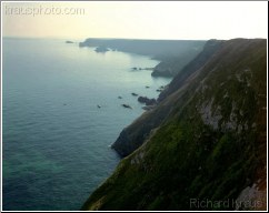 Sea Cliffs