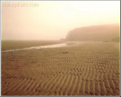 Rippled Sands 4