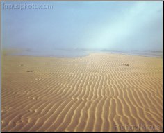 Rippled Sands 2