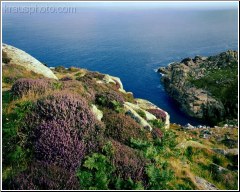 Heather Cliff View