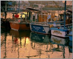 Penzance Trawlers