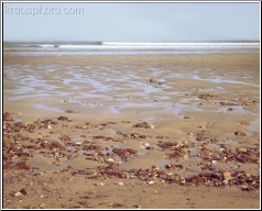 Tide Gone Out