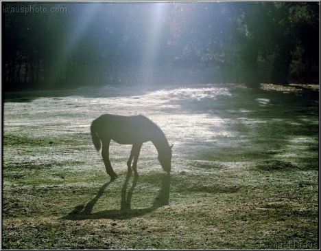 Spotlight