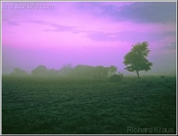 Purple Sky